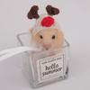 Crocheted Carrot Headwear Hat for Hamster Festival Gift Handwoven Supplies Costume Carrot Rainbow Hat Props Headwear