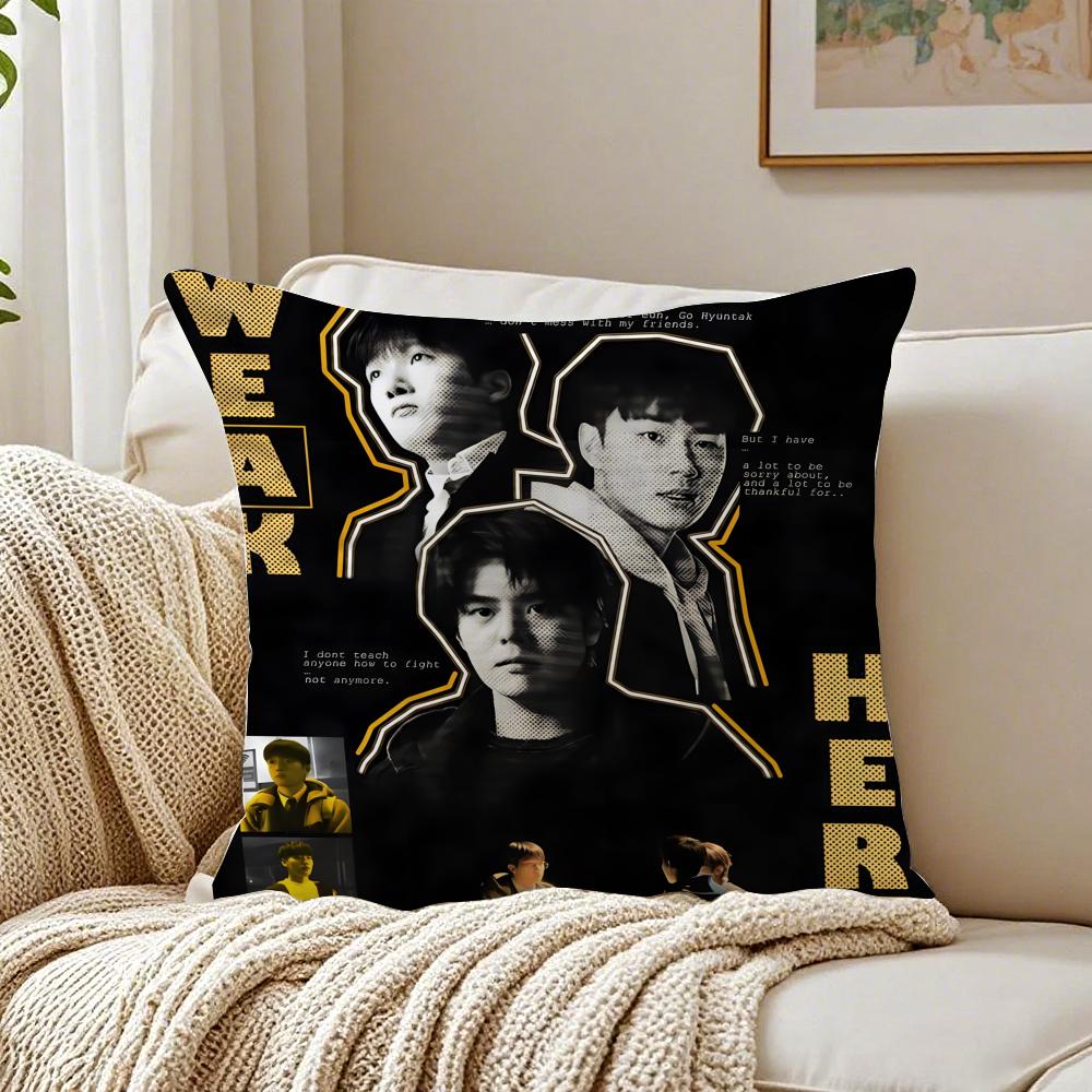 Webtoon Gritty 1 WWeak HHero Class 1 Cushion Cover Pillowcase Antidustmite living Room Sofa Decor Cushion Room