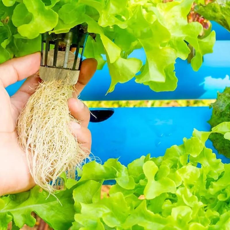 28/600pcs Stonewool Hydroponic Grow Media Cubes Plant Cube Soilless Substrate Seeded Rockwool Plug Seedling Block Garden Supply