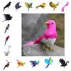 Künstliche Feder Vögel Dekorationen Handwerk Geschenk Ornamente 15