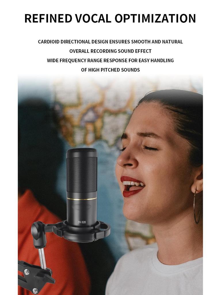ZX320 Condenser Microphone 48V for Conference, Broadcast, Singing, and Recording