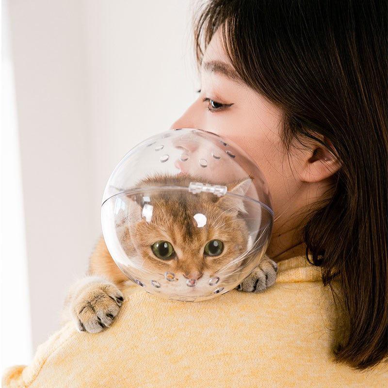 Cat Anti-Bite Breathable Plastic Headgear - New Elizabeth Collar for Pets