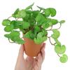 15cm Artificial Plant Mini Bouquet Copper Coin Grass Soft Glue Fake Green Plants Wall Hanging for Home Office Garden Decoration