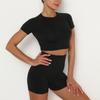 Fashion Women's Seamless Sports Short Sleeve Shorts Yoga Wear Fitness Set