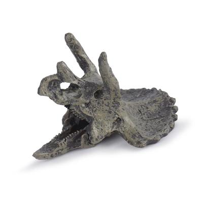 Fische & Meerestiere – Aquarien-Einrichtung