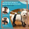 Dostawa 24-godzinna But dla psa Buty dla psa Wodoodporny Regulowany But dla psa Oddychające buty dla zwierząt domowych do spacerów na zewnątrz Chroni Łatwa instalacja
