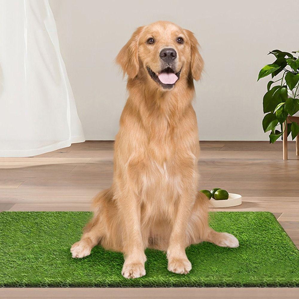 Comfortable Artificial Dog Grass Mat Breathable Pet Pee Grass Pad Dog Litter Mat Outdoor