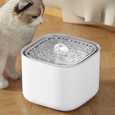 Kedi – Kedi Besleme ve Sulama Malzemeleri