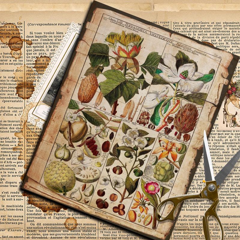 Retro Distressed Plant Book Page 14x18cm Material Paper for Journal Collage Decoration, 10 Sheets