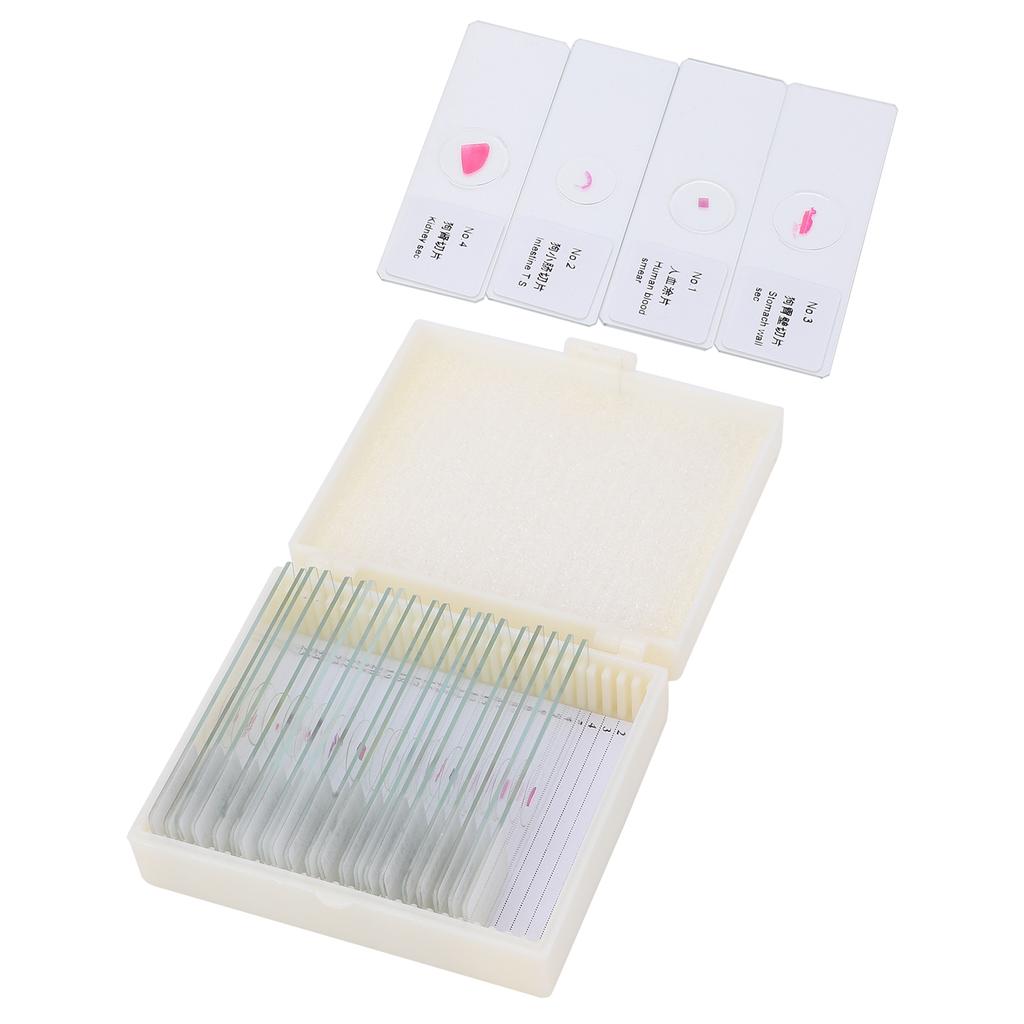 DW‑25 25Pcs Animal Slides Microscope Sample Slides Specimens for Science Education