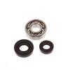 4 Stück/Set Kurbelwellen-Simmerring Rillenkugellager-Kit Für CG430 520 TL43 TL52 Freischneider & Rasentrimmer