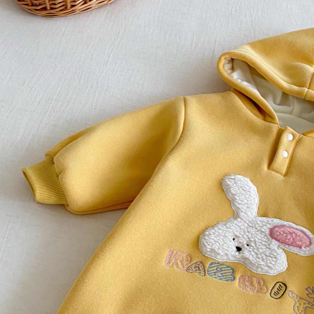 Winter 2025 Baby Fleece Cartoon Romper - Cute Embroidered Rabbit Newborn Jumpsuit