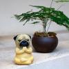 Resin Bulldog Sculpture Ornaments Meditation Dog Statue Yoga Animal Figurine Cute Garden Yard Ornament Indoor Home Desktop Decor