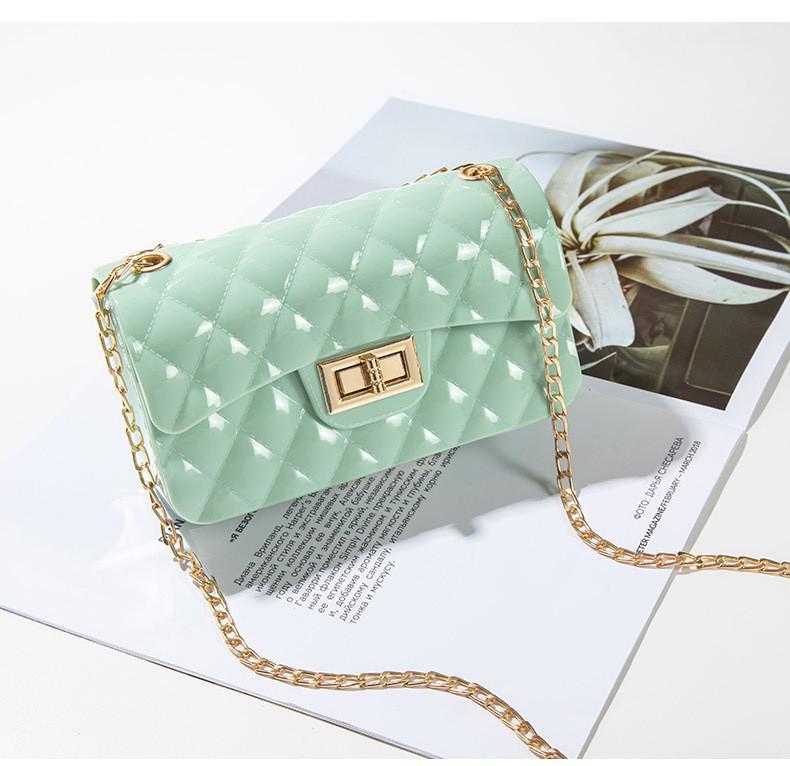 Argyle Jelly Small Handbag 2024: Fashionable & Versatile Shoulder Chain Bag for Women