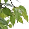 Decorațiuni pentru casă – Flori decorative şi coroane de flori