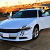 Auto Sticker Hood Light Decorative Stickers Claw Marks Car Sticker Claw Scratch Car Sticker