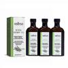 3Pcs 100ml Rosemary Oil for Hair Growth & Skin Natural & Vegan