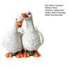 Resin Flowerpot Couple Duck Shape Planter with Drainage Holes Non-Slip Base
