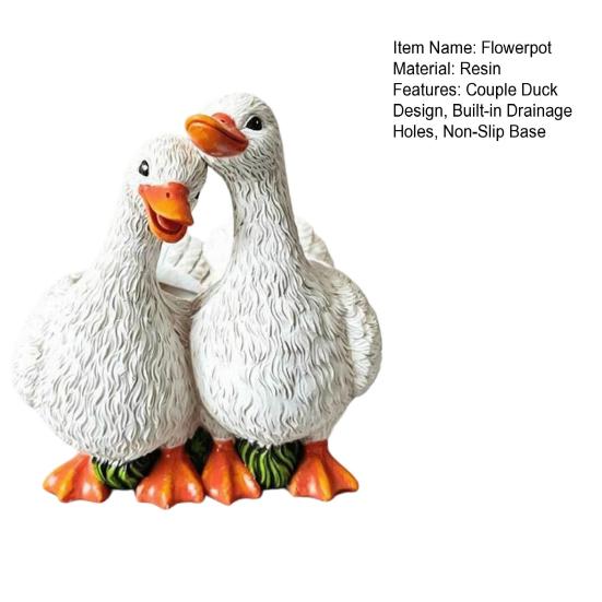 Resin Flowerpot Couple Duck Shape Planter with Drainage Holes Non-Slip Base