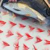Fliegenfischen Fliegen 18 Stück - 2 Boxen Bundle 2 verschiedene Stile Nassfliegen Köder zum Fangen von Fischen wie Forelle/Barsch etc. in Süßwasser