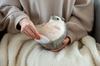 CDF Etendue Thumb Animals Plush Chinchilla Relaxation Healing Heating Products (CDF Etendue) Warmer, & Goods,