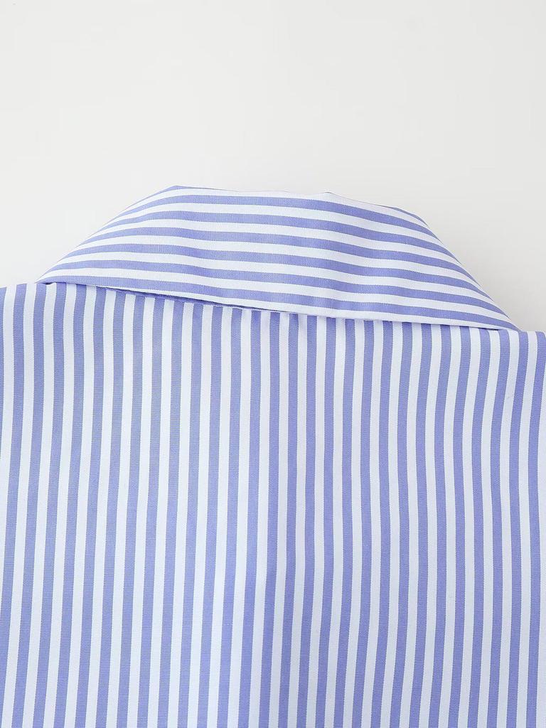 2025 Spring Women's Fashion: European & American Style Embroidered Striped Shirt