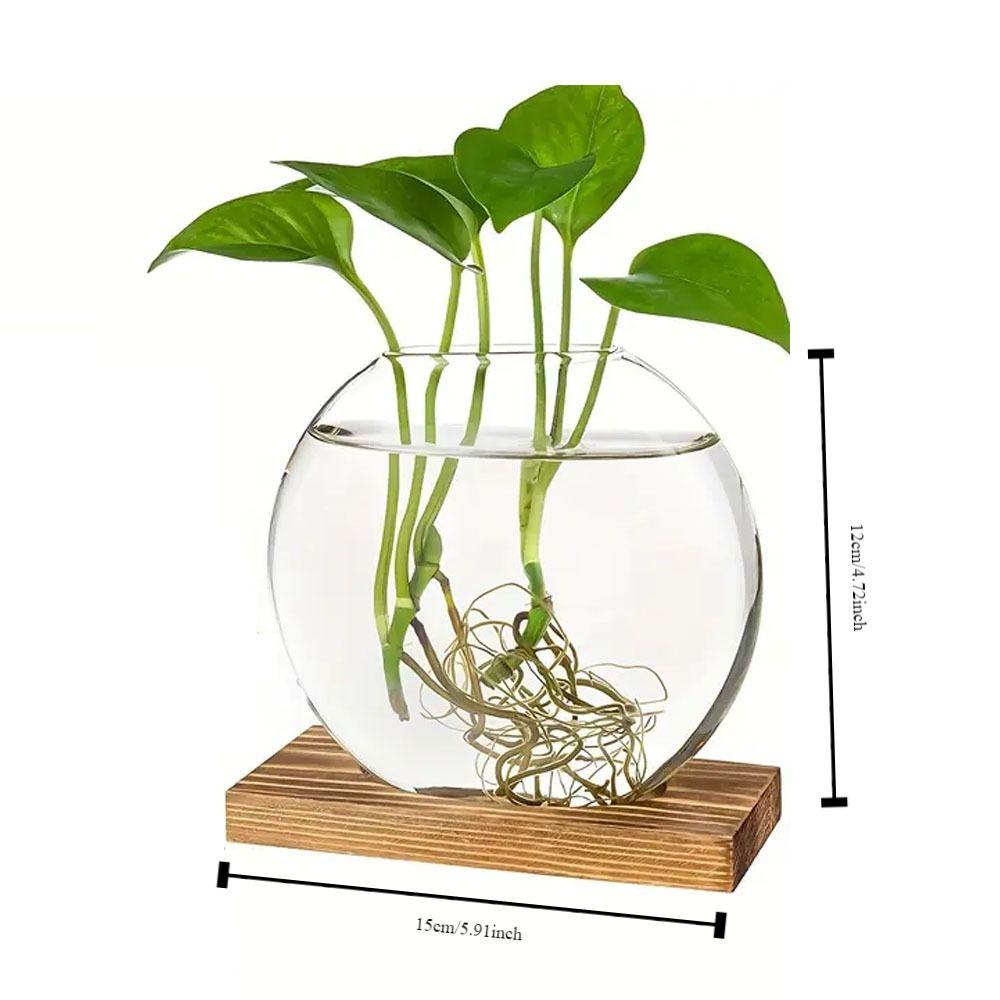Wooden Stand Hydroponic Plants Container Transparent Glass Plants Glass Vase  Weddings