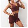 Europäisch-Amerikanisches Nahtloses Schnelltrocknendes Yoga-Westen- & High-Waist-Shorts-Set für Damen