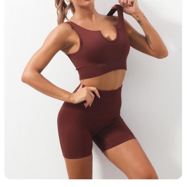 Europäisch-Amerikanisches Nahtloses Schnelltrocknendes Yoga-Westen- & High-Waist-Shorts-Set für Damen