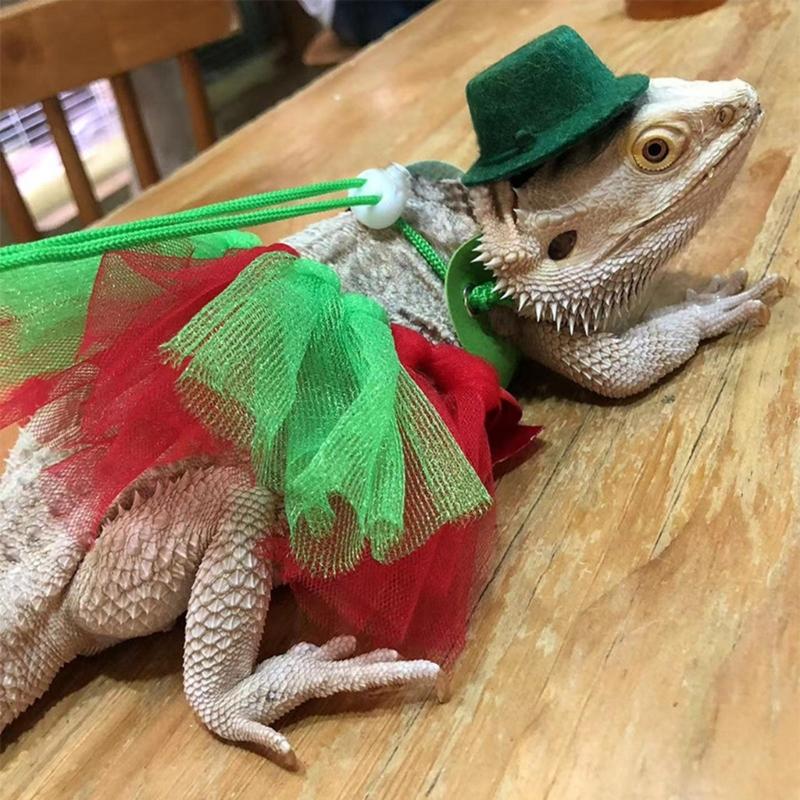 Bearded Dragon Photo Props Dress Up Costume Pet Tutu Dress+ Headdress+Lead