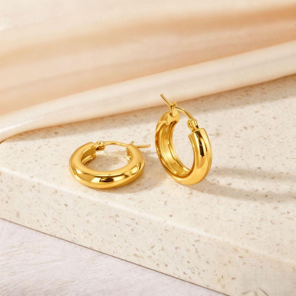 Titanium Steel Light Luxury Colorfast Hoop Earrings with High-End Feel