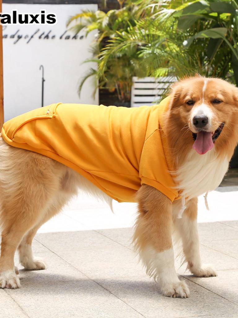 Fall Winter Fleece Golden Retriever Pocket Cat Dog Hoodie for Large Small Dogs Cats Pet Apparel