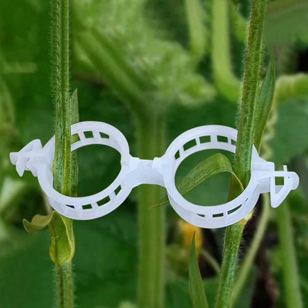 100/200/300Pcs Plant Support Clips Reusable Plant Binding Clip Tomato Trellis Clips for Vine Vegetables Grow Upright Healthier
