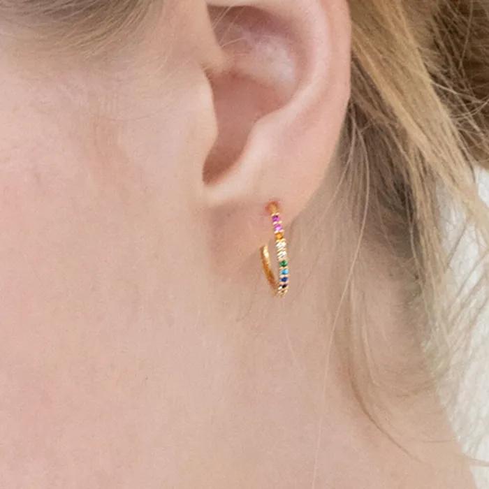 Rainbow Ring Earrings