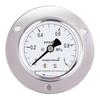 CONJANT Y-60ZT Axial Pressure Gauge with Flange (CN Version)
