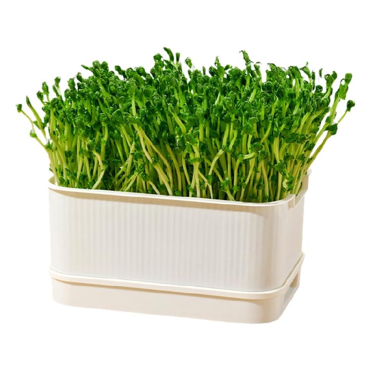 Modern Hydroponic Planter Box Bean Sprouter With Lid Cultivation Germination Tray For Bean Pea Wheatgrass Growing Plant
