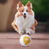 Interactive Dog Chew Toy Ball Clean Teeth Exercise Relieve Boredom Dog Dental Toy Dog Snack Dispenser Toy