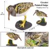 Oenux Forest Bird Animals Wild Ostrich Magpie Owl Crow Flamingos Figurines Action Figure PVC Garden Decoration Miniature Kid Toy