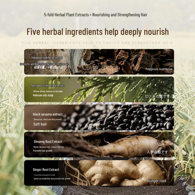 Shanghai Medizinisches Polygonum Multiflorum Zypressenblatt Shampoo Bar