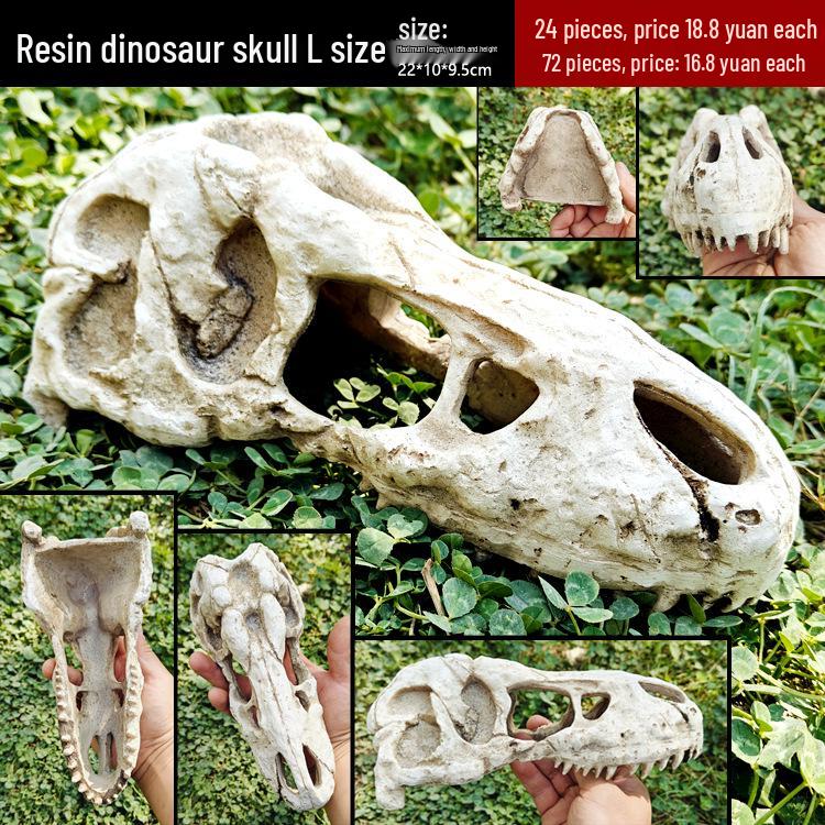 Akril Hüllőtenyésztő Doboz Dekoratív Koponyával