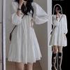 French White Shirt Dress Women's 2026 New Spring Small Man Is Very Good-looking Xinjiang Yunnan Travel Wear