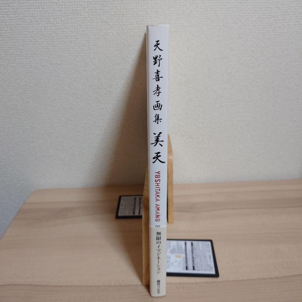 [USED] Beautiful Heaven: Yoshitaka Amano Art Collection