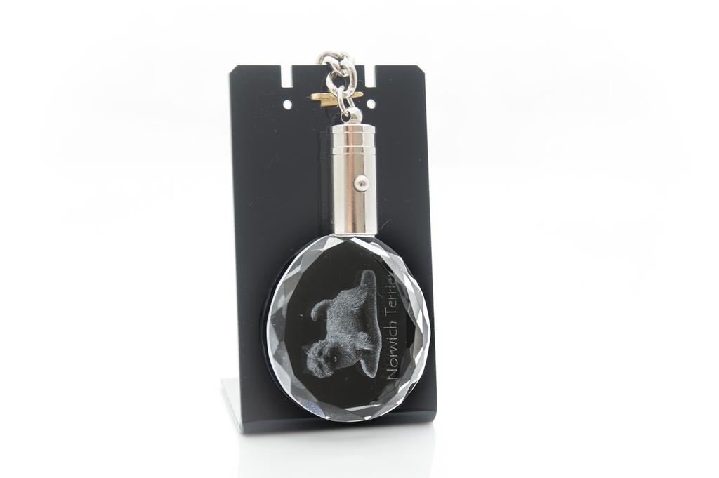 Norwich Terrier - Pendant with a Photo of a Dog, Crystal Key Ring In a Gift Box, a Unique Gift by Art-Dog