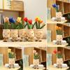Cute And Playful Tulip Succulent Plush For All Ages Great For Gifts And Nap Time