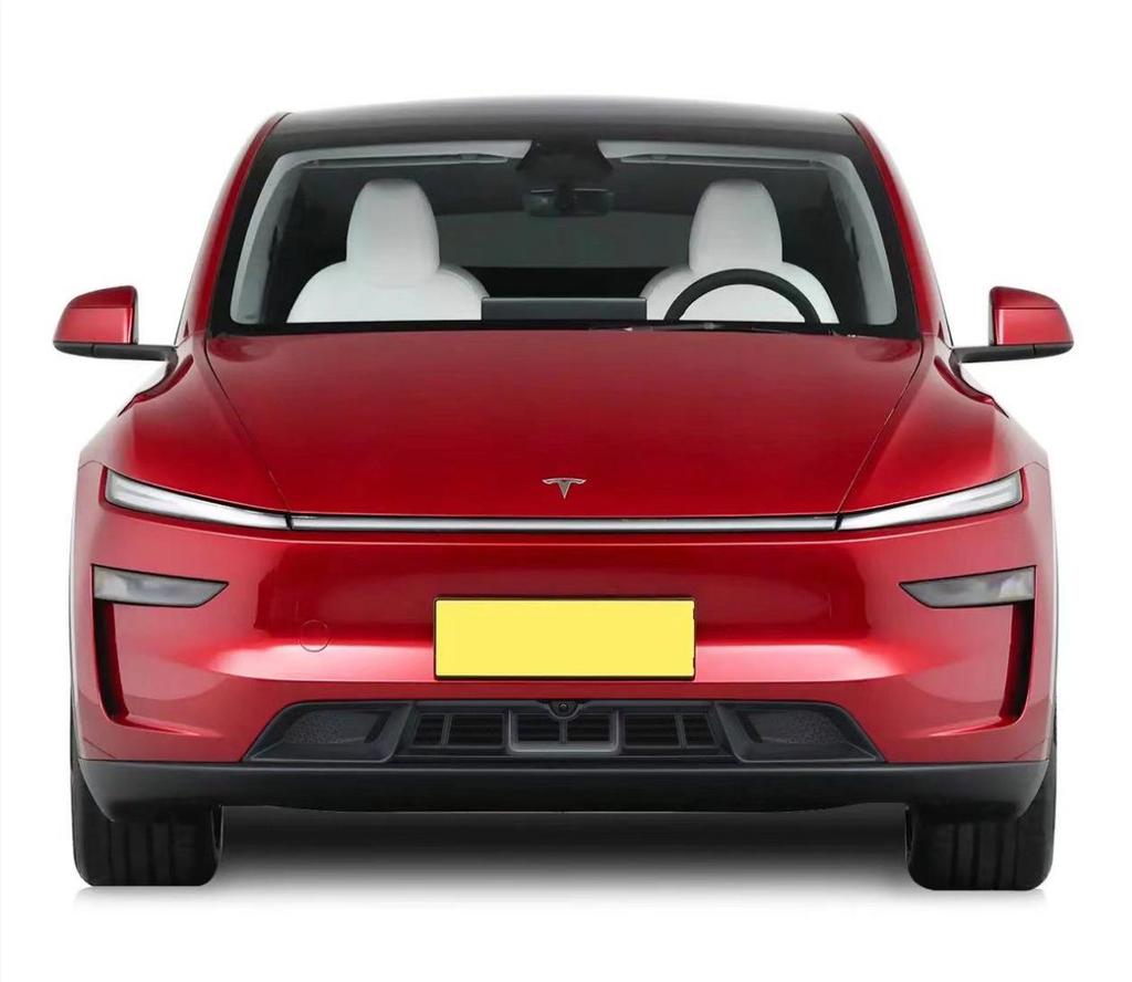 Rete anti-insetti a sgancio rapido compatibile per Tesla Model 3 e Model Y