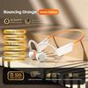 IPX8 Waterproof Bone Conduction Headphones With Microphone Sports Headset  Outdoor Activities