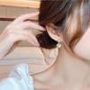 S925 Silver Needle Cat's Eye Stone Earrings - Versatile, High-End Japanese Korean Design