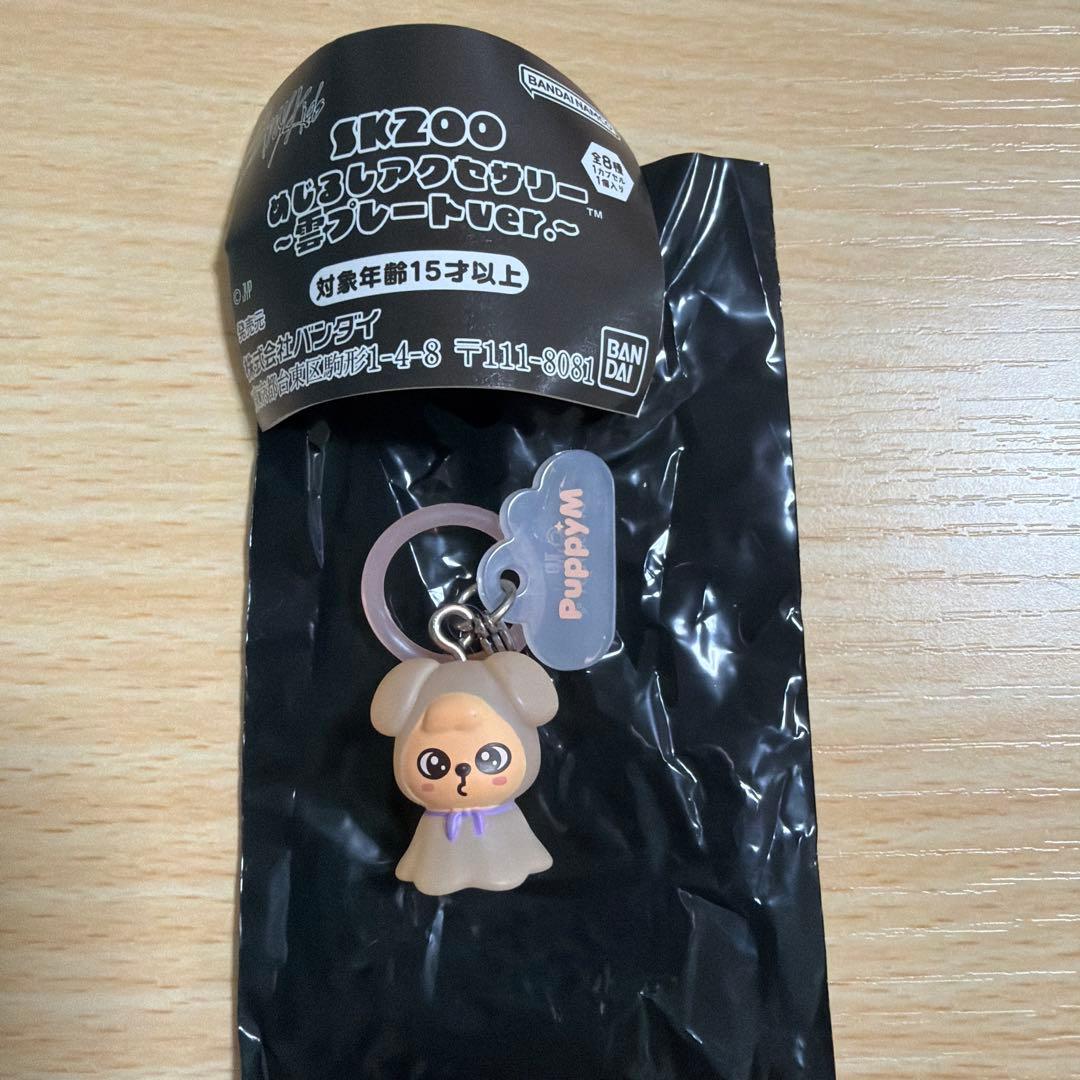 Stray Kids SKZOO Marking Accessory Seungmin