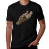 Central Bearded Dragon (Pogona Vitticeps) TShirt Classic Crew Neck Cotton TShirt