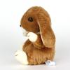 Plush Toy Brown (Rabbit) Lop-Eared